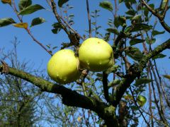 DSCN3662.JPG