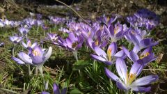 WP_20170316_006.jpg
