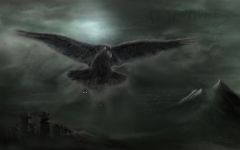 Verve_Raven3.jpg