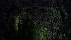 jungle1.jpg