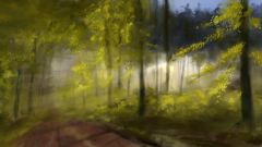 sunrise_in_wood.jpg