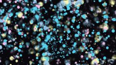 verve_background5_2.jpg